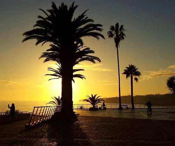 Alto Dos Navegantes 아파트 *